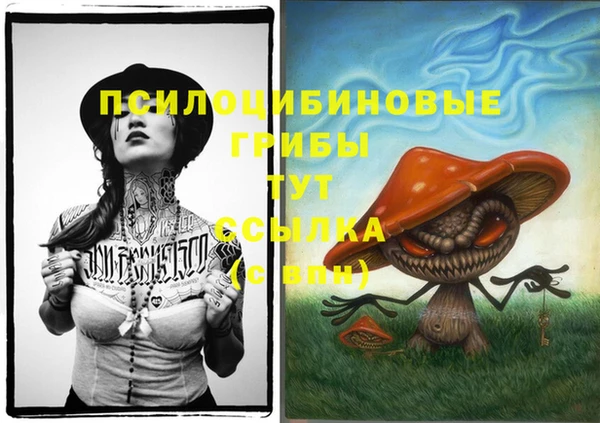 прущие грибы Сатка