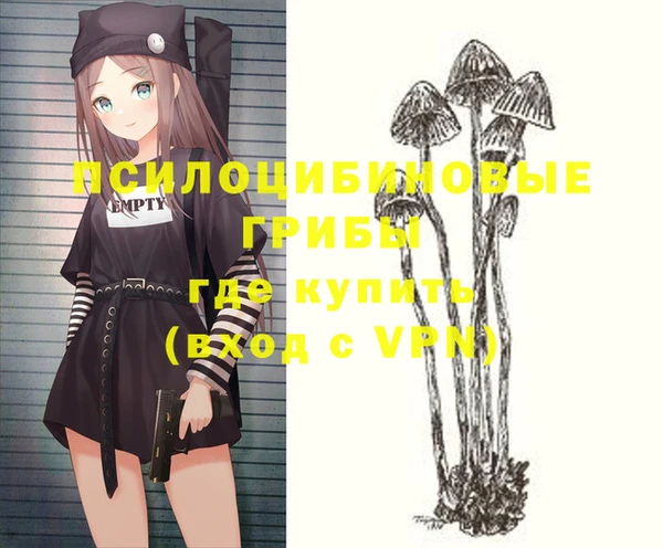 мдпв Балабаново