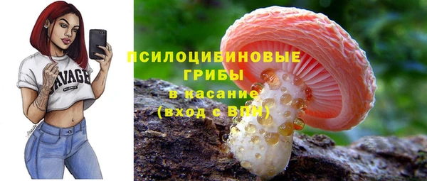 мдпв Балабаново