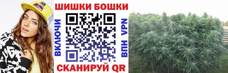 купить закладку  Ревда  Бошки марихуана марихуана 